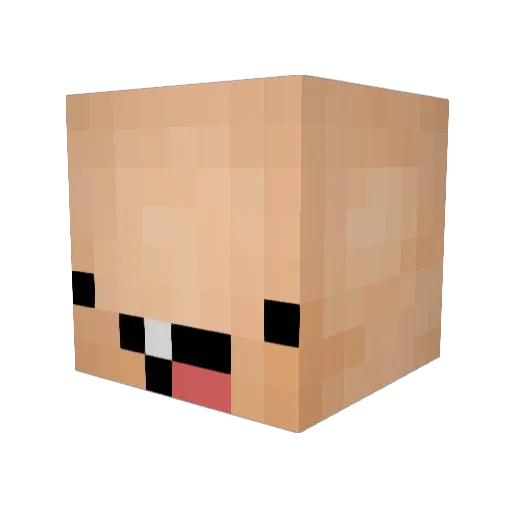 unkobayashi Minecraft avatar head, 3D render