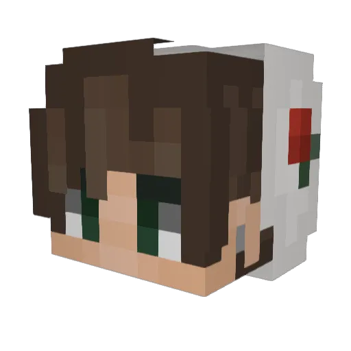 unkochann Minecraft avatar head, 3D render