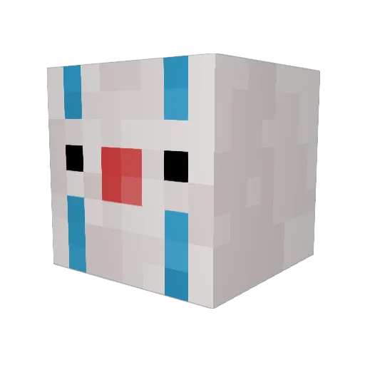 unkowna0 Minecraft avatar head, 3D render