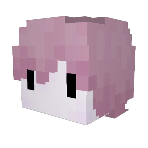 unpotato8161 Minecraft avatar head, 3D render