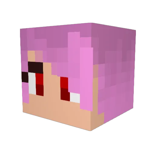 unpro_sunny Minecraft avatar head, 3D render