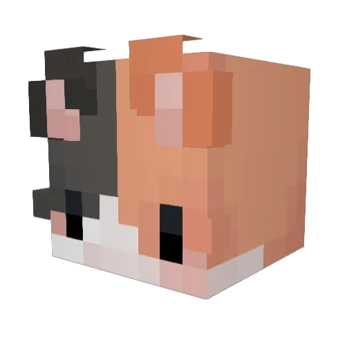 unrealcheese Minecraft avatar head, 3D render