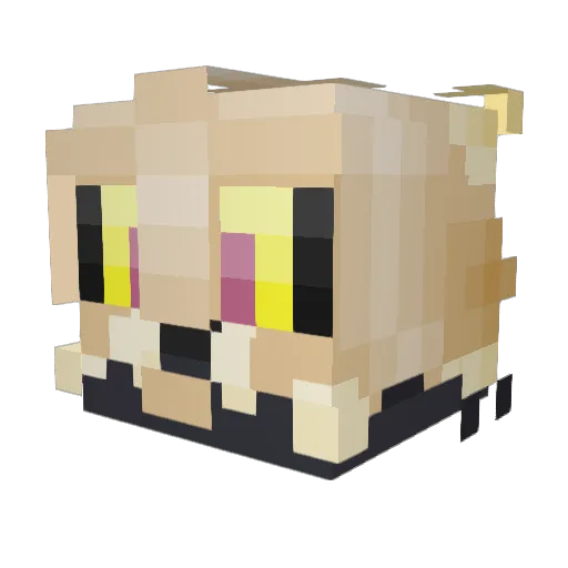 unsean22 Minecraft avatar head, 3D render
