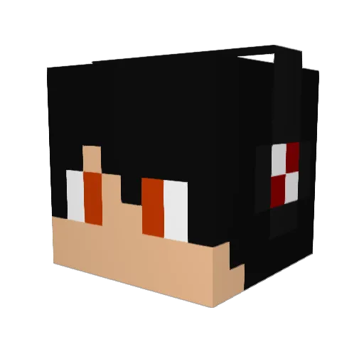 unseeable Minecraft avatar head, 3D render