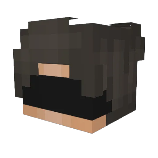 unseeings Minecraft avatar head, 3D render