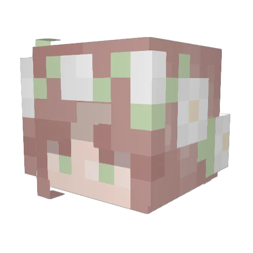 unstablejournal Minecraft avatar head, 3D render