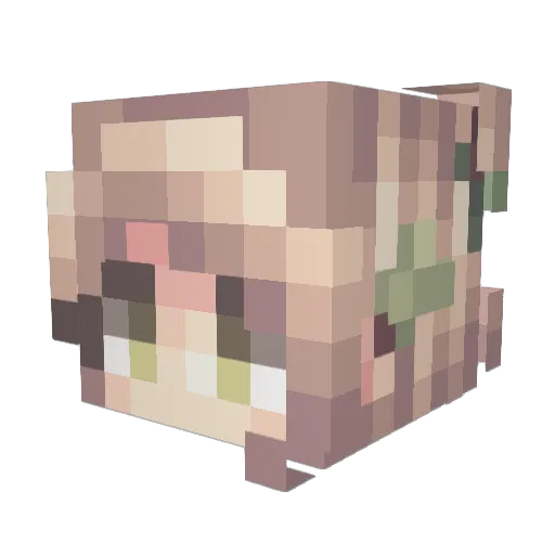 unstableshane Minecraft avatar head, 3D render