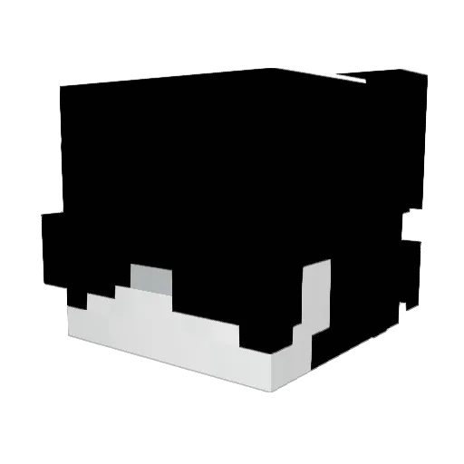 unsuccessfulnes Minecraft avatar head, 3D render