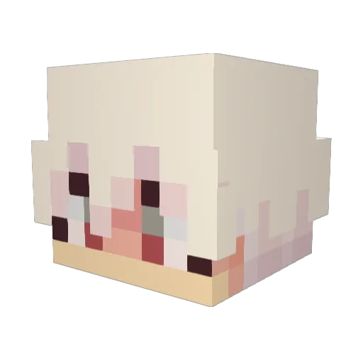unsunii Minecraft avatar head, 3D render
