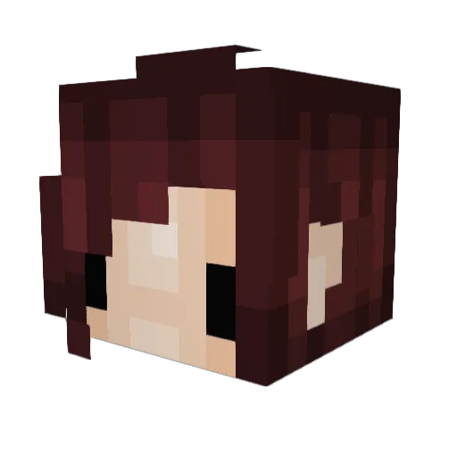 unsweetened_tea Minecraft avatar head, 3D render
