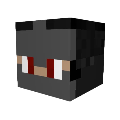 unter654 Minecraft avatar head, 3D render