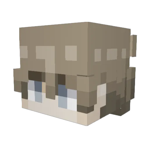 untitled_0123 Minecraft avatar head, 3D render