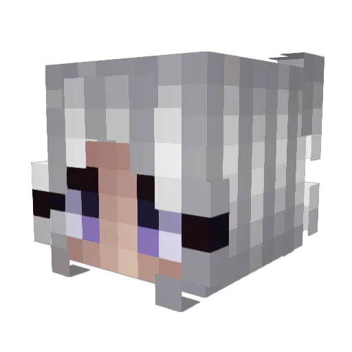 untouchxble_ Minecraft avatar head, 3D render