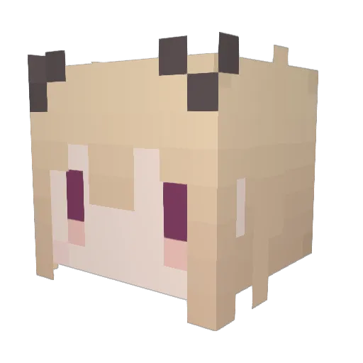 untst Minecraft avatar head, 3D render