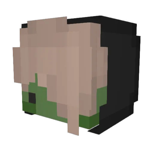 unyef Minecraft avatar head, 3D render