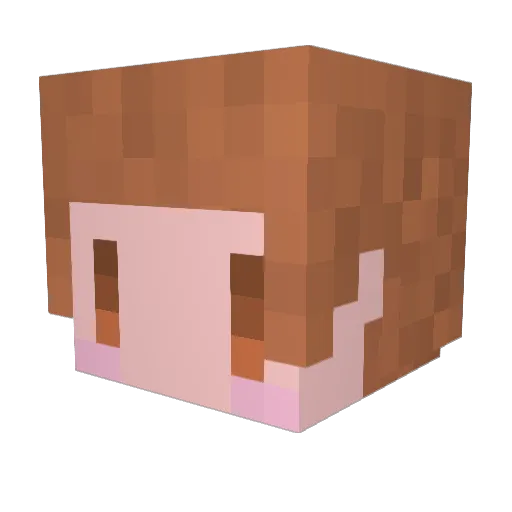 uo0413 Minecraft avatar head, 3D render