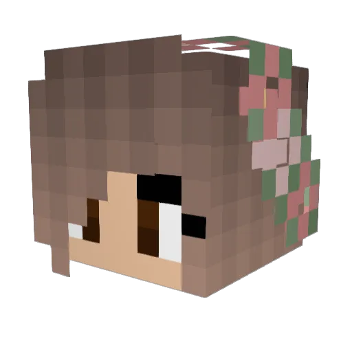 upcast3000 Minecraft avatar head, 3D render