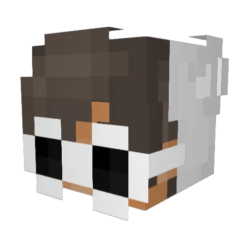 upcon3 Minecraft avatar head, 3D render