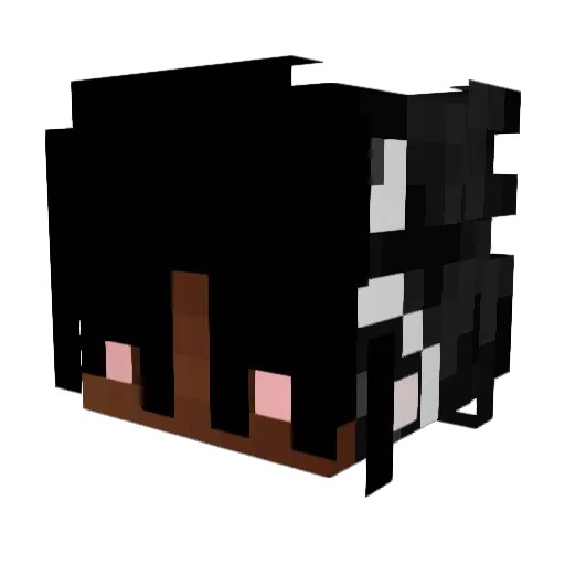 updwn Minecraft avatar head, 3D render