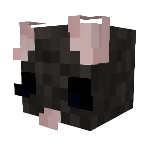 ur_ol_pal_bex Minecraft avatar head, 3D render