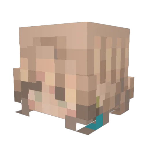 urfavdilemma Minecraft avatar head, 3D render
