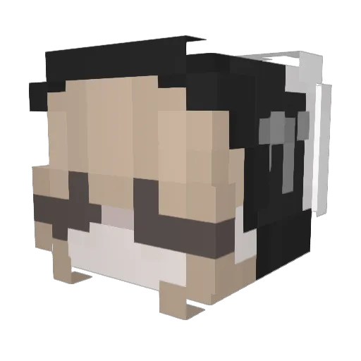 urmomhotlol Minecraft avatar head, 3D render