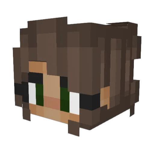 urmomsa_hoe Minecraft avatar head, 3D render
