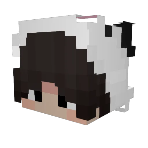 ursWu Minecraft avatar head, 3D render