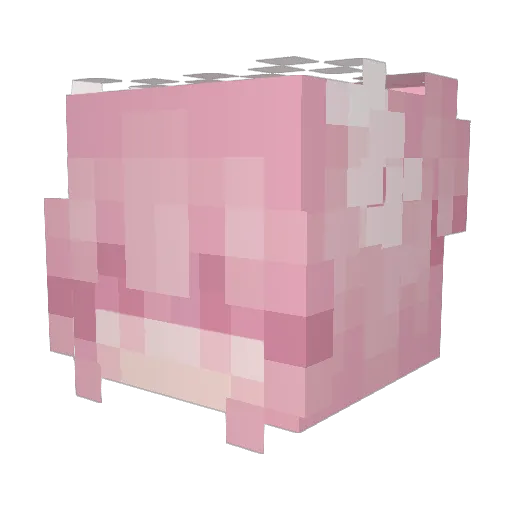 urssincerely22 Minecraft avatar head, 3D render