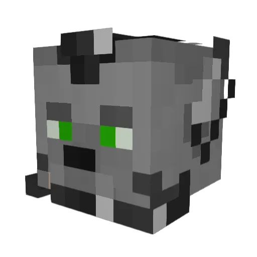usWdgr Minecraft avatar head, 3D render