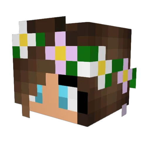 usakame1111 Minecraft avatar head, 3D render