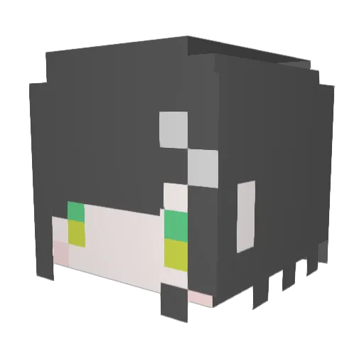 usamiiori Minecraft avatar head, 3D render