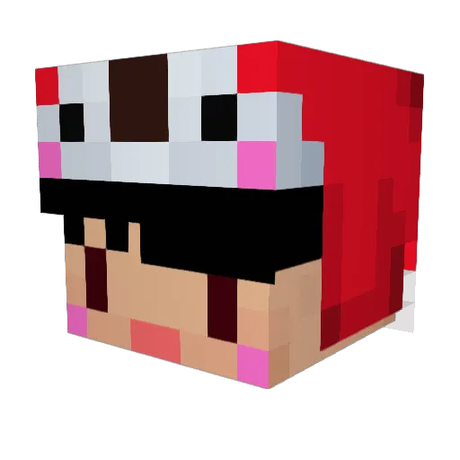 usamop Minecraft avatar head, 3D render