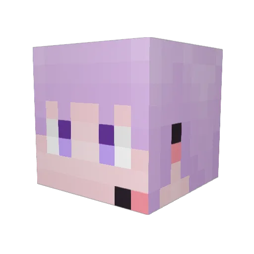 usao135 Minecraft avatar head, 3D render