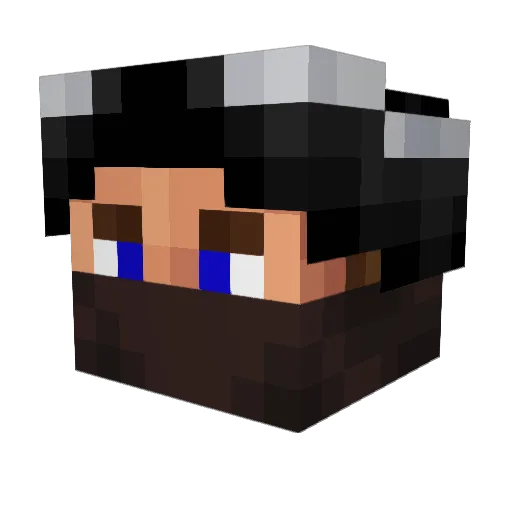 usaprotector Minecraft avatar head, 3D render