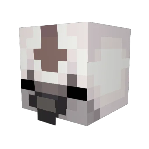 usawnothing Minecraft avatar head, 3D render