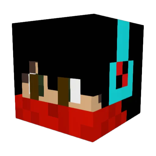 usbVinni Minecraft avatar head, 3D render