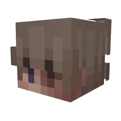 usbq Minecraft avatar head, 3D render