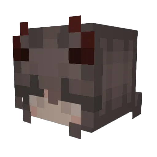 usbstasi Minecraft avatar head, 3D render