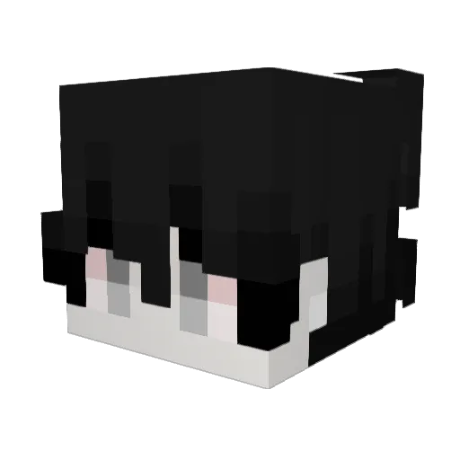 uscs Minecraft avatar head, 3D render