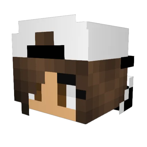 uscsports11 Minecraft avatar head, 3D render