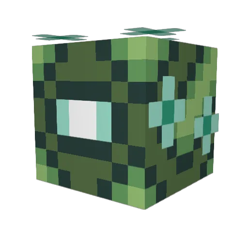 useYRDEN Minecraft avatar head, 3D render