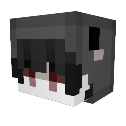 used03 Minecraft avatar head, 3D render