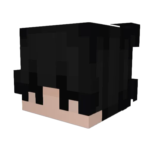 usedgay Minecraft avatar head, 3D render