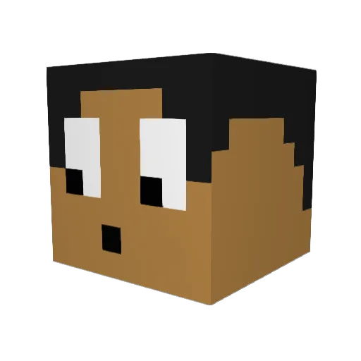 usedtomato Minecraft avatar head, 3D render