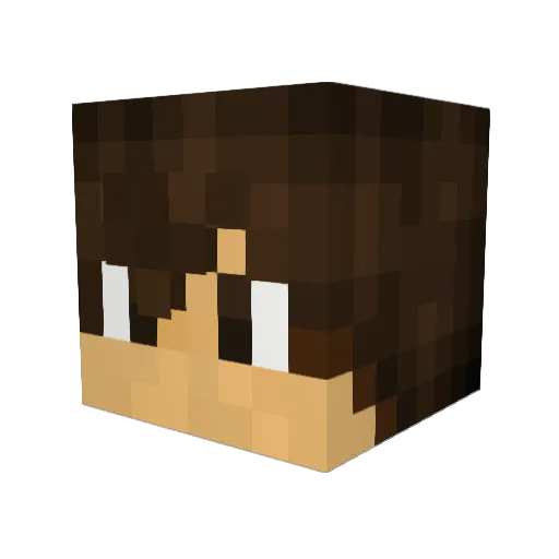 uselesscarter Minecraft avatar head, 3D render