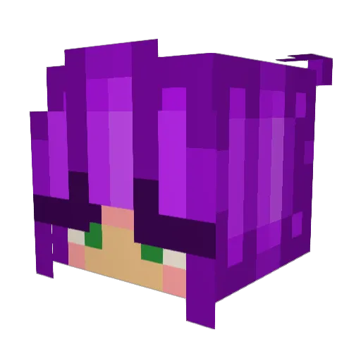 user1202 Minecraft avatar head, 3D render