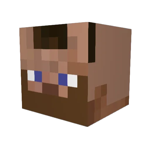 userbitpro5 Minecraft avatar head, 3D render