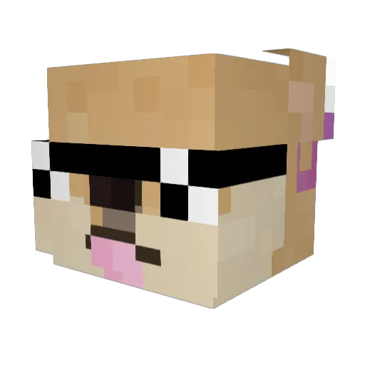 usergooder Minecraft avatar head, 3D render