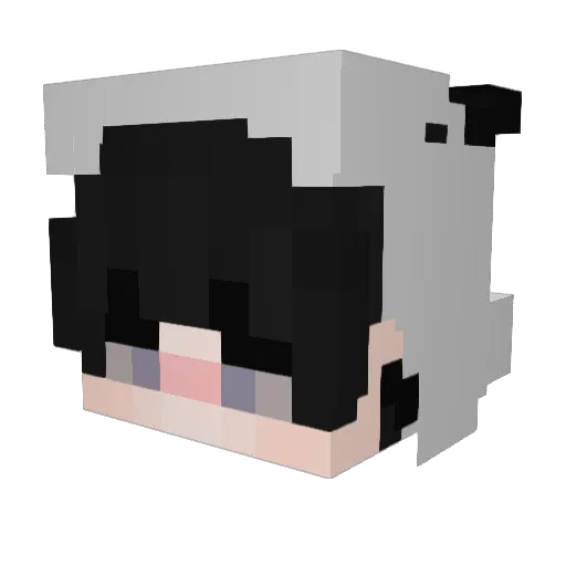 userluvskels Minecraft avatar head, 3D render
